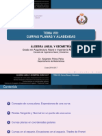 Tema Viii - Curvas Planas y Alabeadas