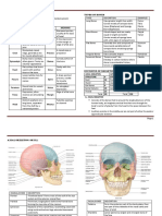 Skeletal System: Term Meaning Term Meaning Body Neck