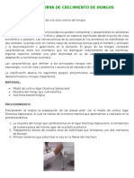 79017777-Practica-de-Microbiologia-General-CURVA-de-CRECIMIENTO-de-HONGOS.docx