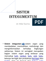 Sistem Integumentum