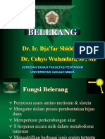 Belerang