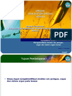 Download Organ Dan Sistem Organ Hewan by Rere Apliyanto SN39070307 doc pdf