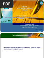 Download Organ Dan Sistem Organ Hewan by Rere Apliyanto SN39070307 doc pdf