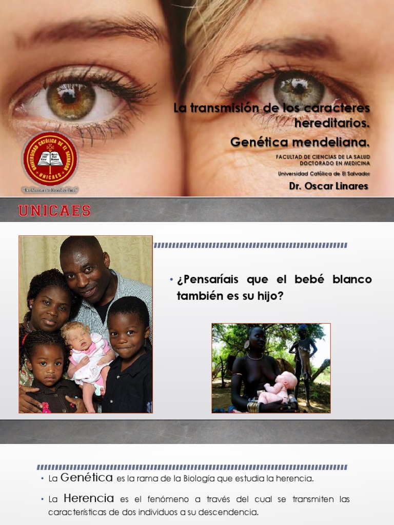 CLASE 13 La Transmisión de Los Caracteres Hereditarios. PDF Dominancia (Genética) Alelo