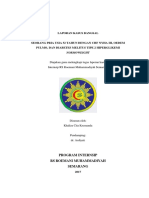 portofolio CITA-CHF DM kotak  (Autosaved).docx