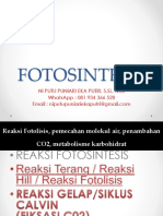 Fotosintesis Dan Respirasi