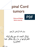 Spinal Cord Tumors: Mahmoud Wahdan Benha University