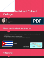 Individual Culture Project