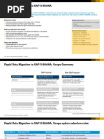 Rapid Data Migration To SAP S/4 Hana