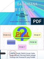 Pengesahan PKM