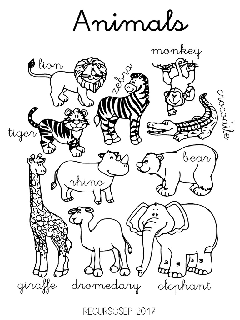 Animals PDF | PDF