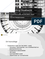 Inleiding Strafrecht - Week 5