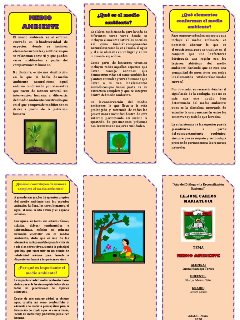 TRIPTICO Medio Ambiente | Descargar gratis PDF | Ciencias sociales ...