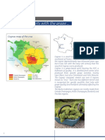 It Starts With The Grape : Cognac Map of The Crus