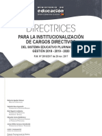 Directrices Institucionalizacion Cargos