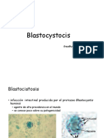 2 - Blastocystocis CORREGIDO