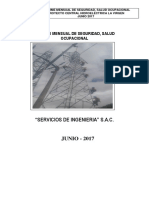 Informe Mensual Seguridad PDF