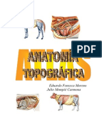 Atlas de Anatomia Topografica