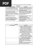 Cuál Es La Diferencia y Las Ventajas de Las Grúas Pórtico de DP WORLD Y APM TERMINALS
