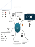 Mapa Mental Evolucion Del Hombre Andres Felipe Bedoya Quirama 10