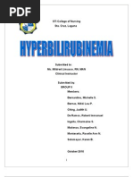Download Hyperbilirubinemia by Cham Ingalla Pascion SN39075113 doc pdf