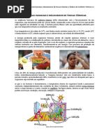 apostila 03_exigências humanas e índices de conforto.pdf