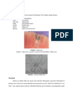 Diplozoon