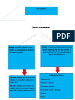 Mapa Conceptual Sobre Computadores