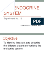The Endocrine System: Experiment No. 16