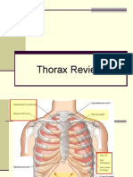 Thorax Review 2