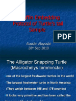 Paraffin Embedding Protocol of Turtle's Tail Sample