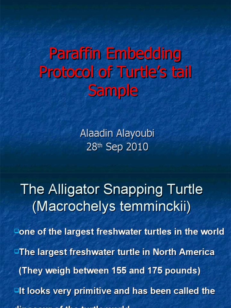 Paraffin Embedding Protocol of Turtle's Tail Sample | PDF | Histology ...