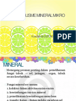 Metab Mineral Mikro