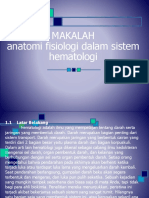 Anatomi Fisiologi Dalam Sistem Hematologi