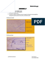 Basic Histology