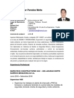 CV Paredes Matta - Ingeniero de Seguridad