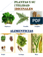 Las Plantas y Su Utilidad