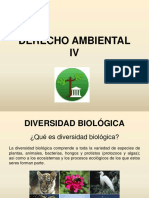 4 - Diapositivas Diversidad Biologica