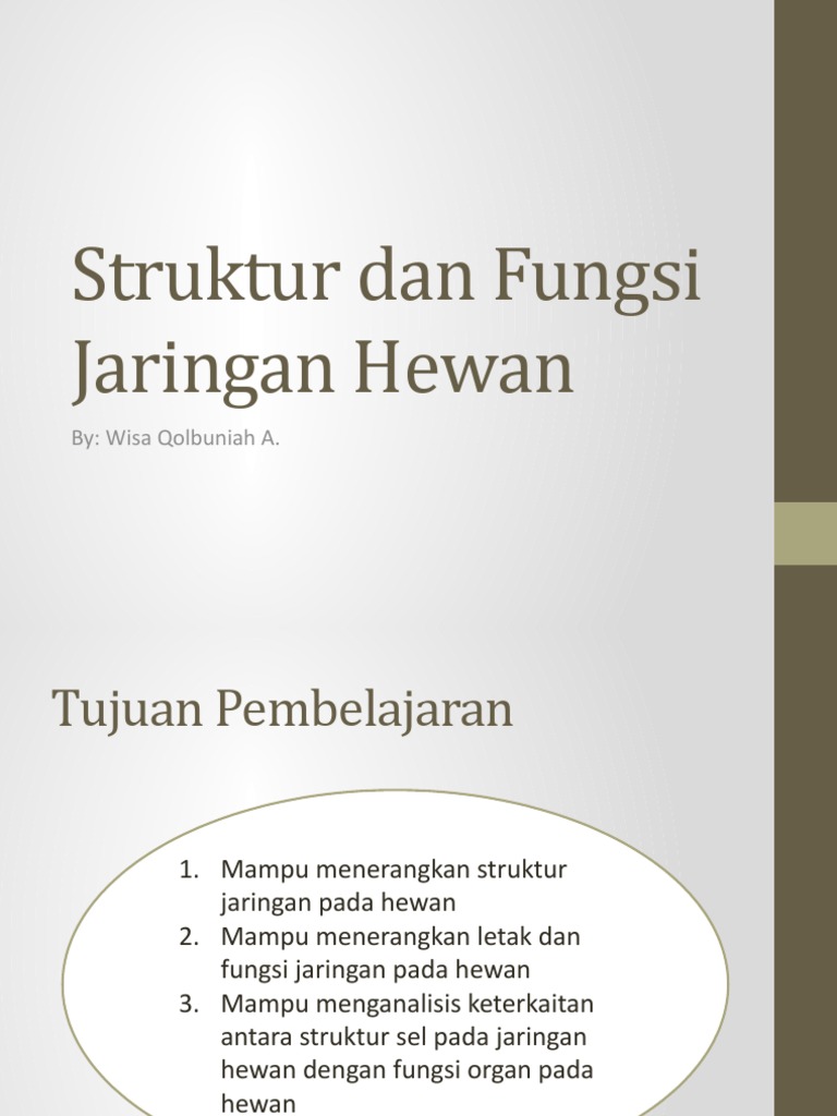Struktur Dan Fungsi Jaringan Hewanpptx