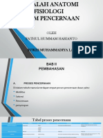 Makalah Anatomi Fisiologi Pencernaan