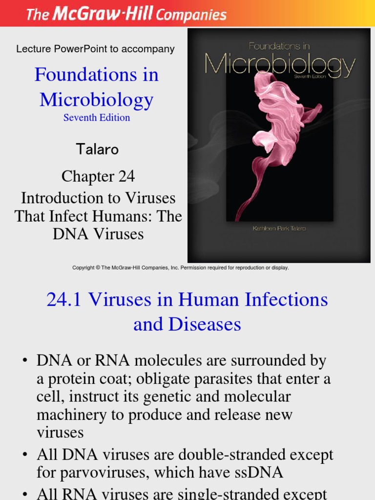 Chapter 24 DNA Viruses That Infect Humans | PDF | Herpes Simplex | Virus