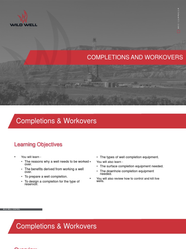 Well Completion & Workover Guide | PDF | Valve | Chemical Engineering