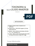 New Mitokondria & Glikolisis Anaerob