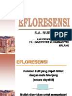 Efloresensi