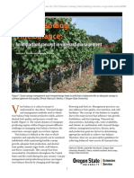 Understanding Vine Balance for Optimal Grape Quality and Yield