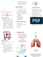 Leaflet (Ispa) Tri Ulan Sari