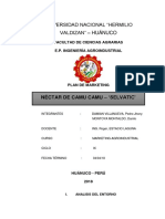 Plan de Markting Nectar de Camu Camu Selvatic