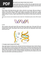 Tuliskan Macam-Macam Materi Genetik Yang Terdapat Di Dalam Tubuh Manusia!