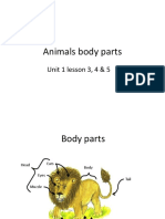 Animals Body Parts: Unit 1 Lesson 3, 4 & 5