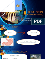 Pepsin, Partial (Oreochromis Niloticus) : RIZKI FITRIA G851170011 BAHARUDIN Y.H G851170041